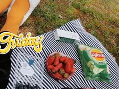 -苏州河梦清园环保主题公园