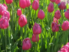 -长春公园(普阳街道)