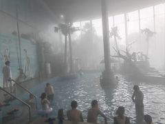 -金孔雀温泉旅游度假村