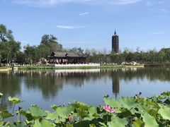 -西海子公园