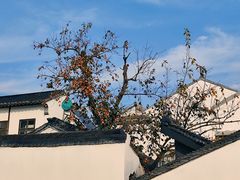 -北寺塔