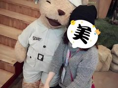 -济州岛泰迪熊博物馆