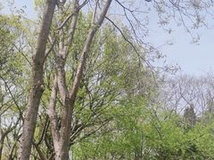 -七桥瓮公园