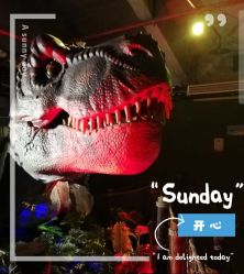 -恐龙探索乐园(磁器口店)