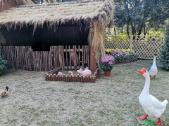 -汇龙潭