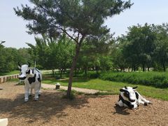 -长春公园(普阳街道)