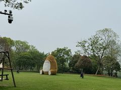 -长田漾湿地公园
