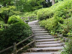 -天龙寺