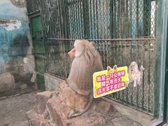 -无锡动物园·太湖欢乐园