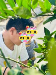 -前小桔亲子创意农场·草莓采摘·露营烧烤