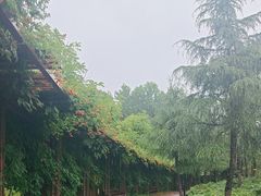 -狼山风景名胜区