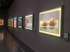 -罗红摄影艺术馆