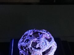 -鸿山遗址博物馆
