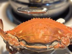 -九月海·海鲜自助(世纪东方店)