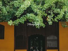 -西园戒幢律寺