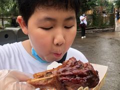 -迪士尼火鸡腿