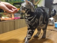 -藦茜花园宠物主题亲子互动体验馆(国顺东路店)