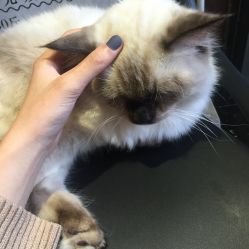 点击看大图 -隅日式美甲美睫專門店