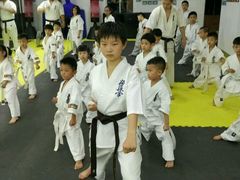 -极真空手道修远道场