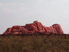 -西海岸生态观光园