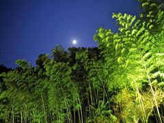 -宁波余姚老柿林山居度假村