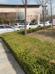 -天津市儿童医院(北辰龙岩院区)