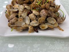 辣炒花蛤-聚德福海鲜家常菜(刘庄店)