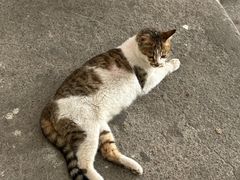 -KAKA·实景密室(马嘶巷店)