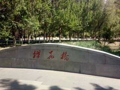 -长白岛森林公园