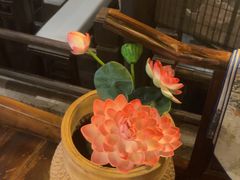 -绿茶餐厅(哈尔滨凯德店)
