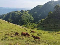 -天龙顶山地公园