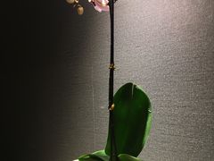 -大连富丽华大酒店