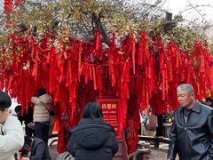 -中国翰园碑林
