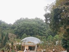 -深圳仙湖植物园