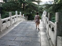 -西苑公园
