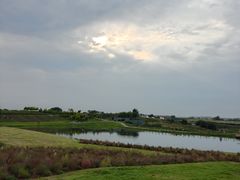 -空港花田景区