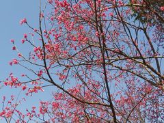 -映月湖公园