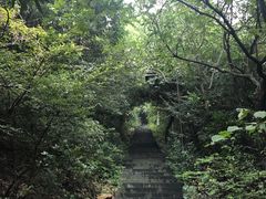 -杭州半山国家森林公园