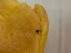 -B&C黄油与面包·THE GARDEN BAKERY概念店(世纪汇店)