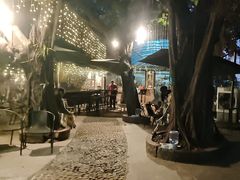 -柴犬高等学院·狗咖·柴犬售卖·宠物训练