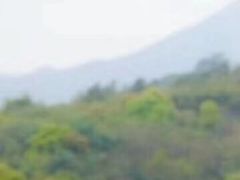 -福建鲤鱼洲酒店