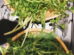 -攀枝花野菜铜火锅(万科凯德店)