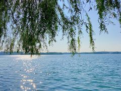 -丁香湖公园