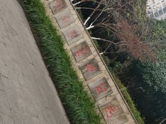 -重庆彩云湖湿地公园
