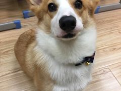 -韩通韩国语学院(虹口校区)