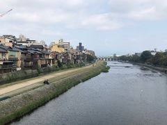 -四条大桥