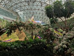 -花之城
