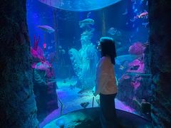 -沈阳海洋探索中心