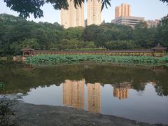 -龙头寺公园