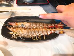 -鲜入围煮花胶鸡海鲜火锅